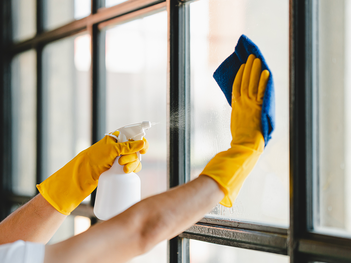 000 window cleaning 2